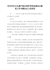 在市历史文化遗产综合保护利用县域试点建设工作专题会议上的讲话