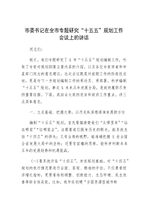 在专题研究“十五五”规划工作会议上的讲话（市委书记）