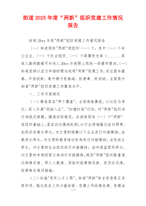 街道2025年度“两新”组织党建工作情况报告