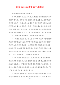 街道2025年度党建工作要点