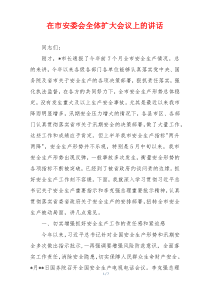 在市安委会全体扩大会议上的讲话