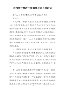 在市审计整改工作部署会议上的讲话
