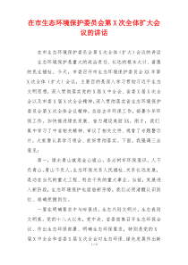 在市生态环境保护委员会第X次全体扩大会议的讲话