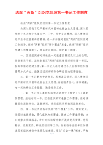 选派“两新”组织党组织第一书记工作制度