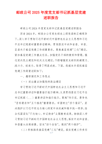 邮政公司2025年度党支部书记抓基层党建述职报告