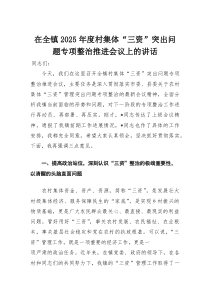 在全镇2025年度村集体“三资”突出问题专项整治推进会议上的讲话