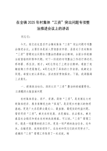 在全镇2025年村集体“三资”突出问题专项整治推进会议上的讲话
