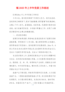 镇2025年上半年党委工作综述