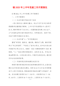 镇2025年上半年党建工作开展情况