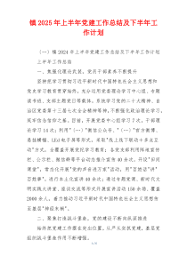 镇2025年上半年党建工作总结及下半年工作计划