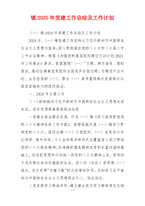 镇2025年党建工作总结及工作计划