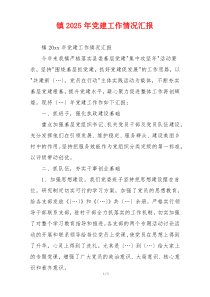 镇2025年党建工作情况汇报
