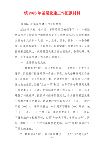 镇2025年基层党建工作汇报材料