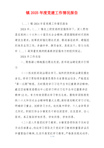 镇2025年度党建工作情况报告