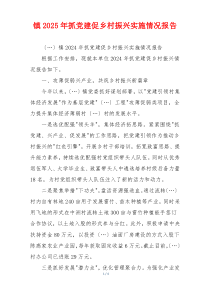 镇2025年抓党建促乡村振兴实施情况报告