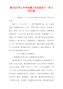 镇202X年上半年党建工作总结及下一步工作打算