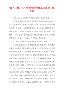 镇“三治三化”党建引领社会基层治理工作汇报