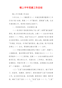 镇上半年党建工作总结