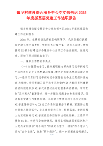 镇乡村建设综合服务中心党支部书记2025年度抓基层党建工作述职报告