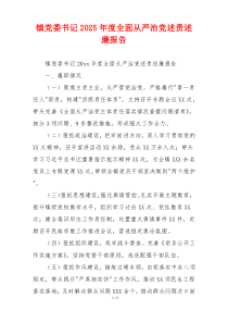 镇党委书记2025年度全面从严治党述责述廉报告