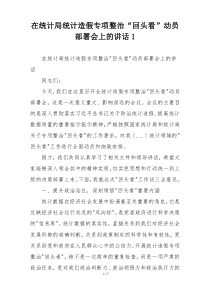 在统计局统计造假专项整治“回头看”动员部署会上的讲话1