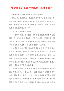 镇党委书记2025年河长制工作述职报告
