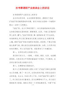 在考察调研产业座谈会上的讲话