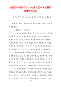 镇党委书记关于2025年度党委书记抓基层党建情况报告