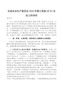 在安全生产委员会2025年第三季度（扩大）会议上的讲话（县级）