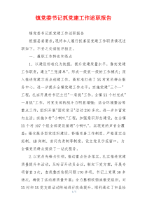 镇党委书记抓党建工作述职报告