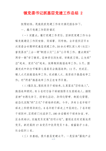 镇党委书记抓基层党建工作总结 2