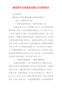 镇党委书记抓基层党建工作述职报告