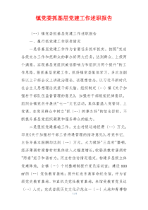 镇党委抓基层党建工作述职报告