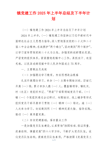 镇党建工作2025年上半年总结及下半年计划