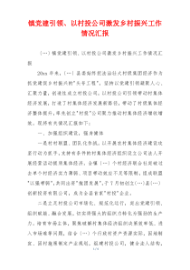 镇党建引领、以村投公司激发乡村振兴工作情况汇报