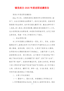 镇党政办2025年度述职述廉报告