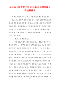 镇政府大院支部书记2025年抓基层党建工作述职报告