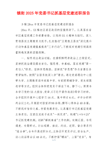 镇街2025年党委书记抓基层党建述职报告
