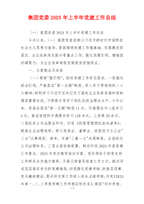 集团党委2025年上半年党建工作总结