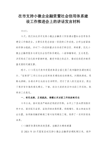 在市支持小微企业融资暨社会信用体系建设工作推进会上的讲话发言材料