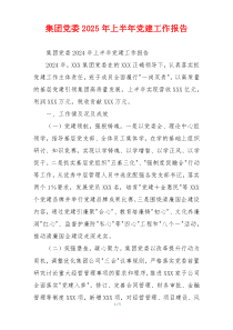 集团党委2025年上半年党建工作报告