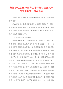 集团公司党委2025年上半年履行全面从严治党主体责任情况报告