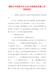 集团公司党委书记2025年抓基层党建工作述职报告