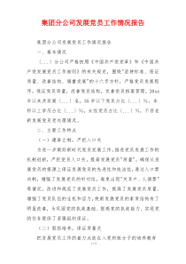 集团分公司发展党员工作情况报告