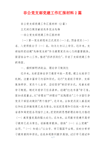 非公党支部党建工作汇报材料2篇