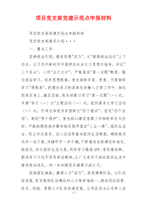 项目党支部党建示范点申报材料
