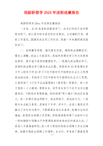 局副职领导2025年述职述廉报告