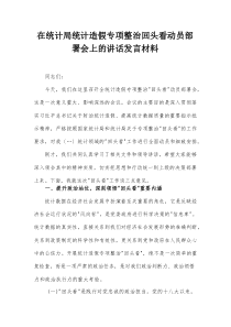 在统计局统计造假专项整治回头看动员部署会上的讲话发言材料