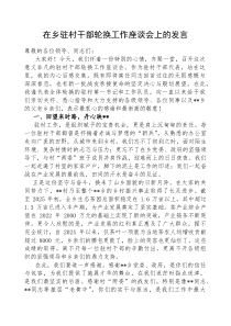 在驻村干部轮换工作座谈会上的发言（乡镇）