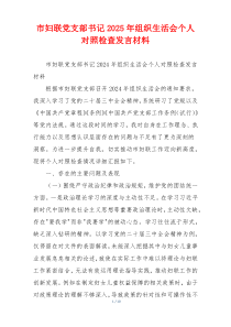 市妇联党支部书记2025年组织生活会个人对照检查发言材料